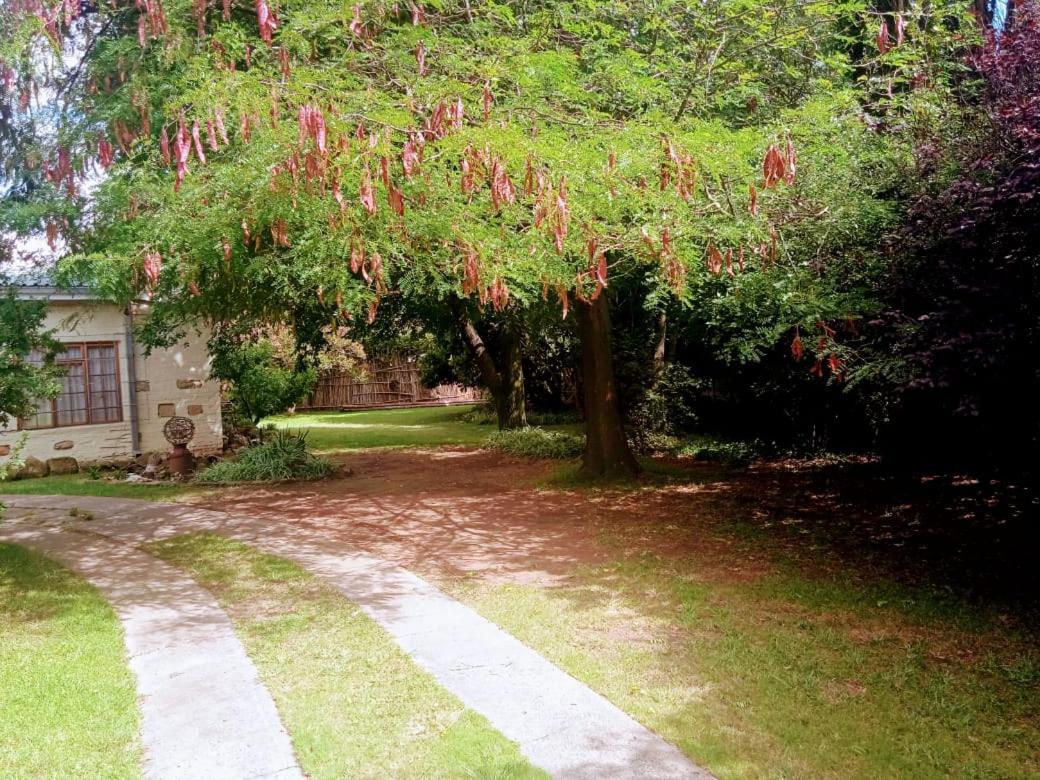 Rheola'S Guest Cottage Harrismith Εξωτερικό φωτογραφία